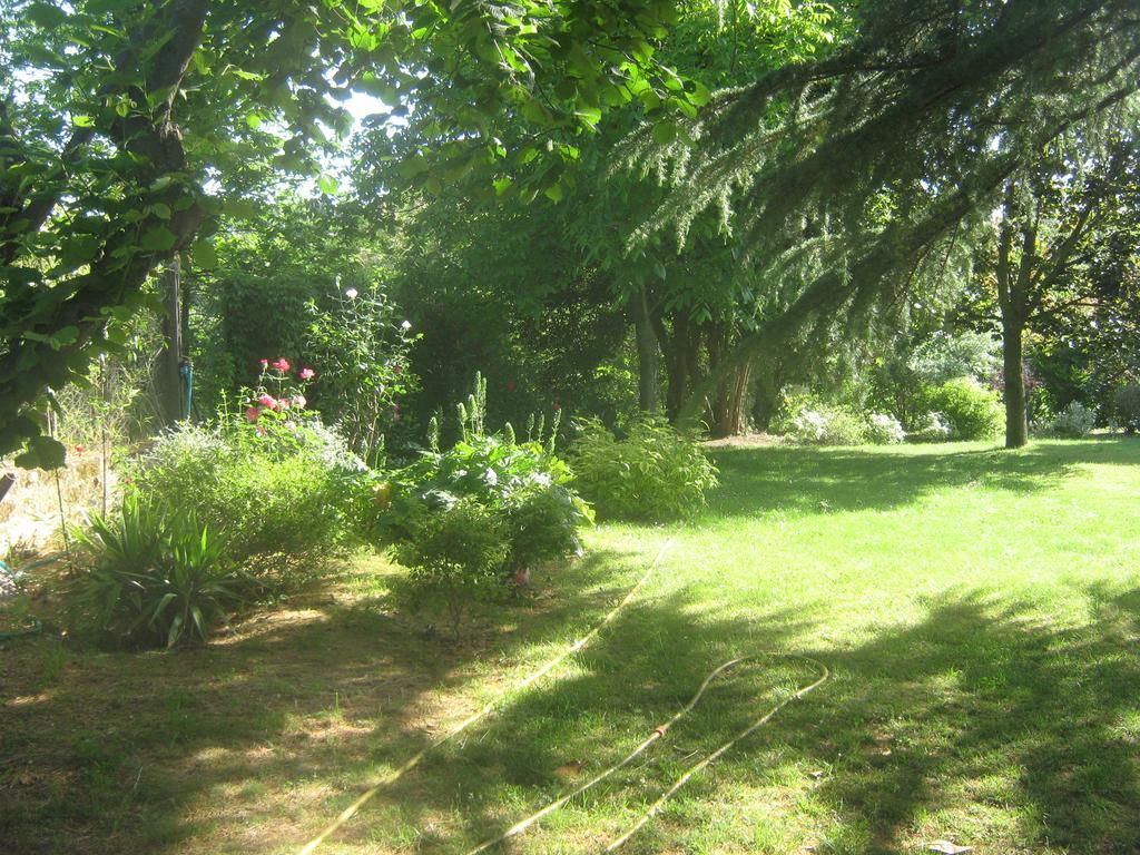 La Villa Di Lucia Витербо Номер фото